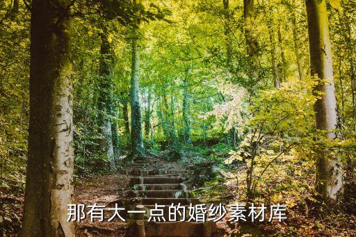 魚尾婚紗圖片，2008婚紗攝影新樣片