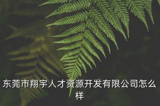 東莞翔宏，東莞宏翔電子技術有限公司怎么樣 還好么