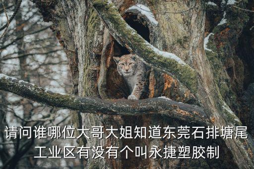 請問誰哪位大哥大姐知道東莞石排塘尾工業區有沒有個叫永捷塑膠制