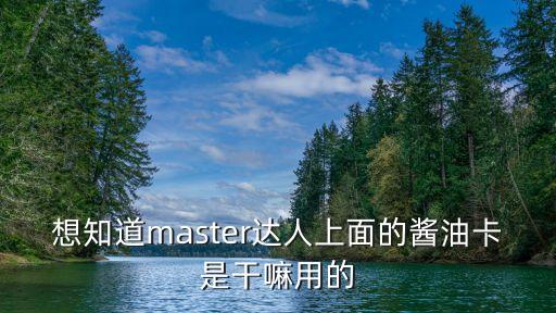 想知道master達人上面的醬油卡是干嘛用的