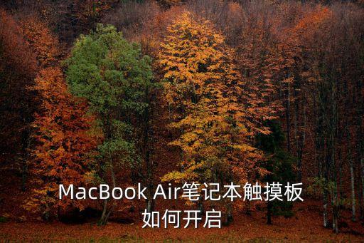 MacBook Air筆記本觸摸板如何開(kāi)啟