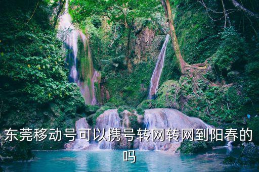 東莞可以攜號轉(zhuǎn)網(wǎng)嗎，東莞移動(dòng)號可以攜號轉(zhuǎn)網(wǎng)轉(zhuǎn)網(wǎng)到陽春的嗎