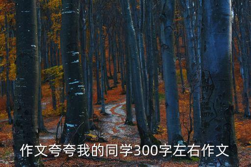 作文夸夸我的同學(xué)300字左右作文