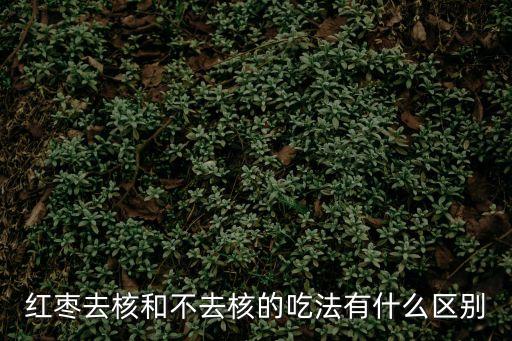 紅棗去核和不去核的吃法有什么區(qū)別