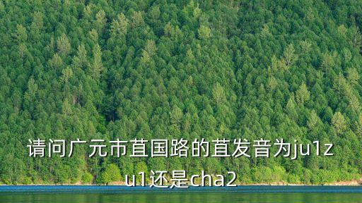 請(qǐng)問(wèn)廣元市苴國(guó)路的苴發(fā)音為ju1zu1還是cha2