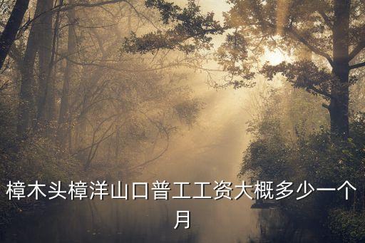 樟木頭樟洋山口普工工資大概多少一個月