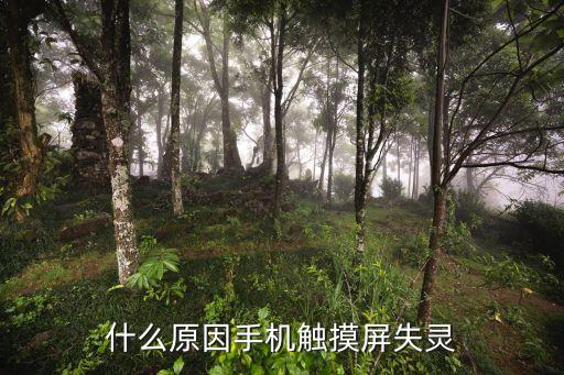 手機觸屏失靈，手機屏幕失靈點不動怎么辦
