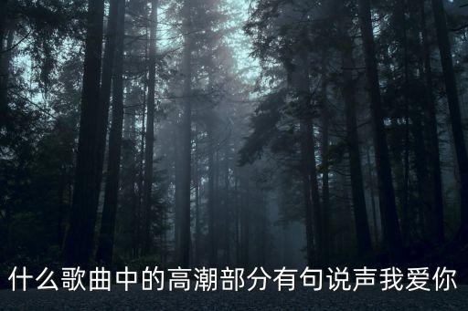 說聲我愛你，說一聲我愛你400字作文