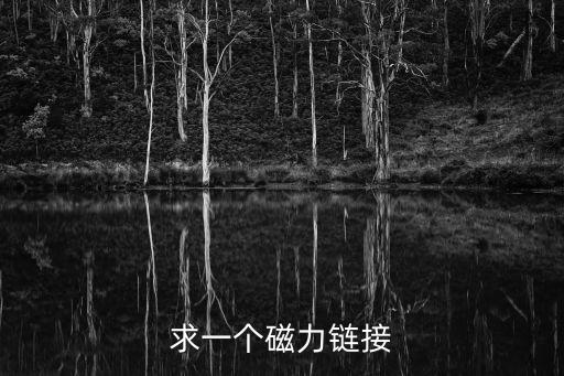 求一個磁力鏈接