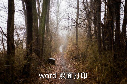 雙面打印，word 雙面打印