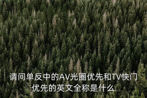 請問單反中的AV光圈優(yōu)先和TV快門優(yōu)先的英文全稱是什么