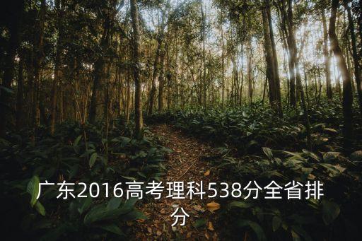東莞中學2016年高考成績，2016年廣東高考狀元是誰分數是多少