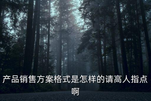 產(chǎn)品銷售方案格式是怎樣的請高人指點啊