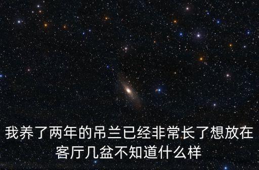 我養了兩年的吊蘭已經非常長了想放在客廳幾盆不知道什么樣