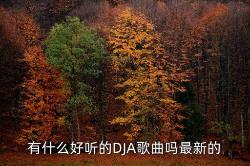 dja，有沒有什么好聽的djA歌曲