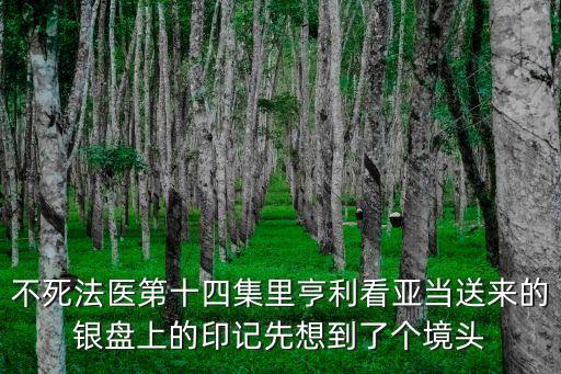 亨利亞當，不死法醫(yī)第十四集里亨利看亞當送來的銀盤上的印記先想到了個境頭