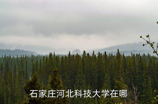 石家莊河北科技大學在哪