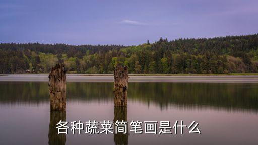 各種蔬菜簡筆畫是什么