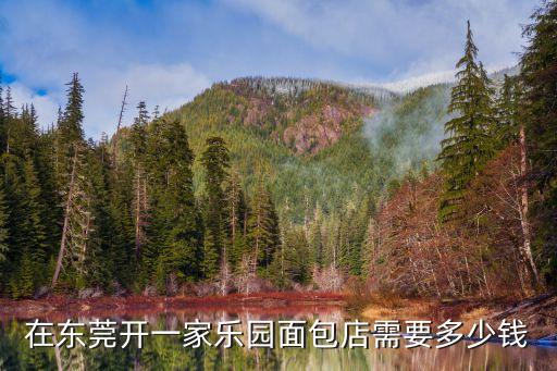 在東莞開一家樂園面包店需要多少錢
