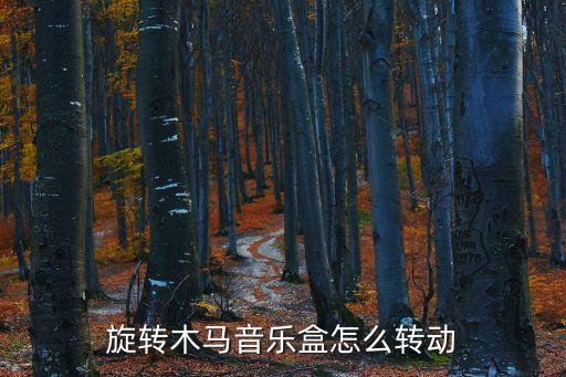 旋轉木馬音樂盒怎么轉動