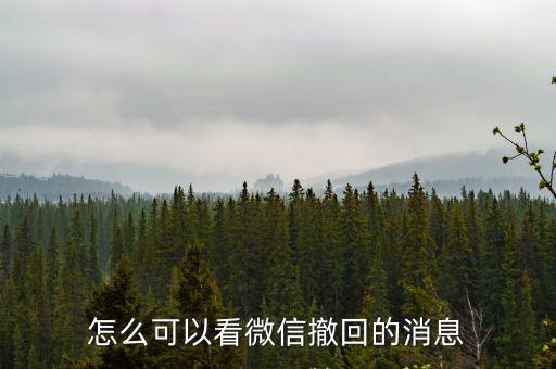 怎么可以看微信撤回的消息
