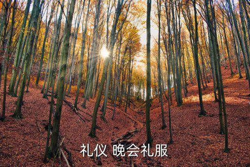 晚宴禮服，禮儀 晚會禮服