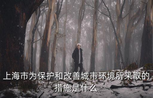 上海市為保護和改善城市環境所采取的措施是什么
