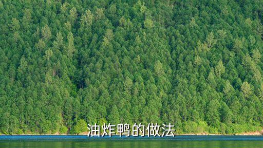 油鴨，怎么做如何做家常麻油鴨的做法大全視頻