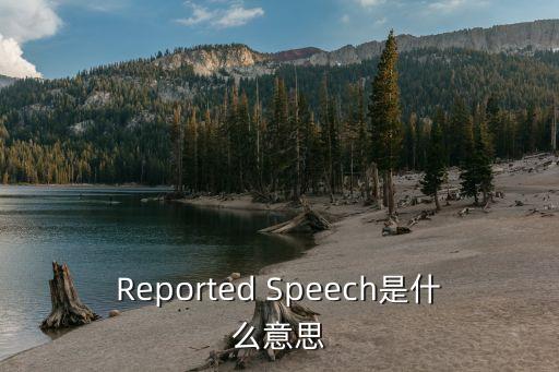 reported，Reported Speech是什么意思