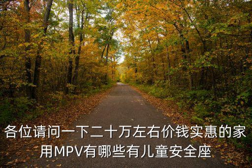 各位請問一下二十萬左右價錢實惠的家用MPV有哪些有兒童安全座