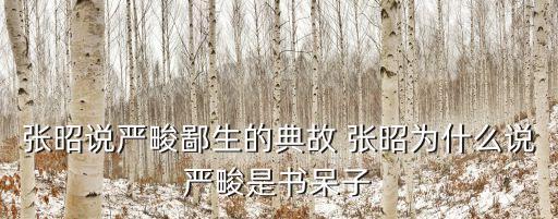 張昭說嚴畯鄙生的典故 張昭為什么說嚴畯是書呆子