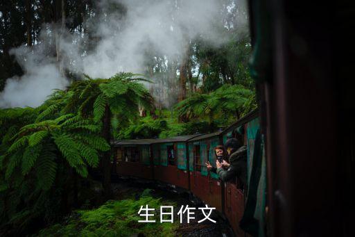 關于過生日的作文，過生日作文600字具體寫些什么