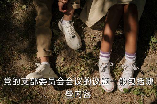 黨的支部委員會會議的議題一般包括哪些內容