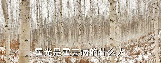 霍光是霍去病的什么人