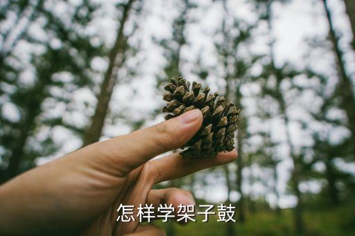 架子鼓學習，架子鼓好學嗎