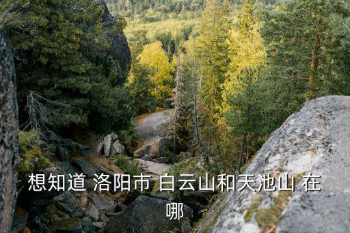 洛陽天池山，洛陽天池山風景區的交通信息