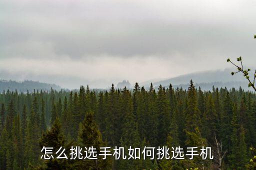手機選購，選手機一般怎么挑選要看什么參數