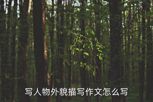 描寫人外貌的作文，寫人物外貌描寫作文怎么寫