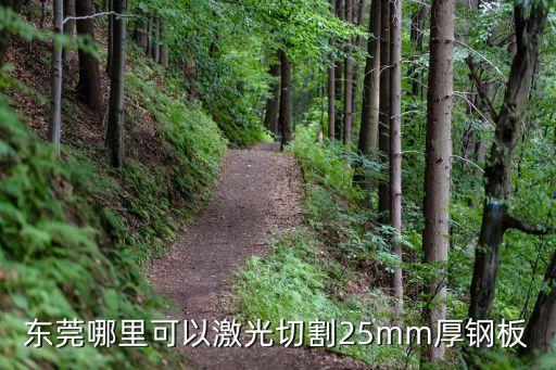 東莞哪里可以激光切割25mm厚鋼板