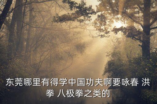 東莞哪里有得學(xué)中國功夫啊要詠春 洪拳 八極拳之類的