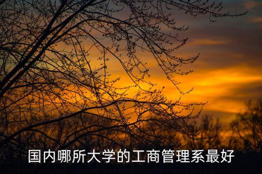 工商管理專業大學排名，國內哪所大學的工商管理系最好