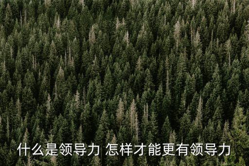 領導力是什么，什么是領導力 如何提高領導力