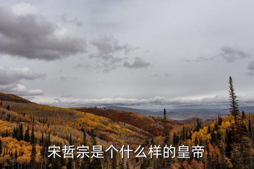 哲宗，唐哲宗宋武宗明玄宗漢簡文帝晉平帝的介紹