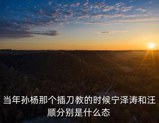 插刀教事件，當年孫楊那個插刀教的時候寧澤濤和汪順分別是什么態