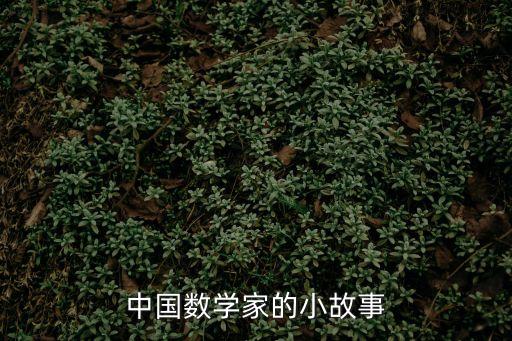 數(shù)學家的小故事，10個數(shù)學家的小故事