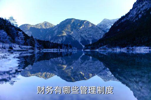 財務(wù)有哪些管理制度