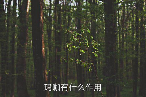 瑪珈作用，瑪咖的作用都有哪些