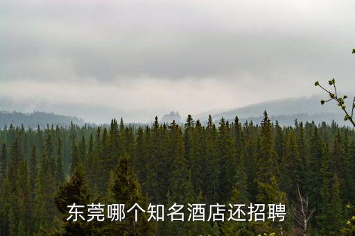 東莞市逸豪國際酒店招聘，東莞逸豪國際