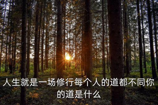 人生是一場修行，人生就是一場修行每個人的道都不同你的道是什么