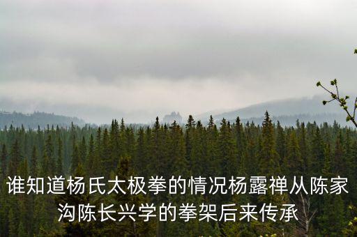 張虎臣，通州哪里有教太極拳的有知道的給推薦一個